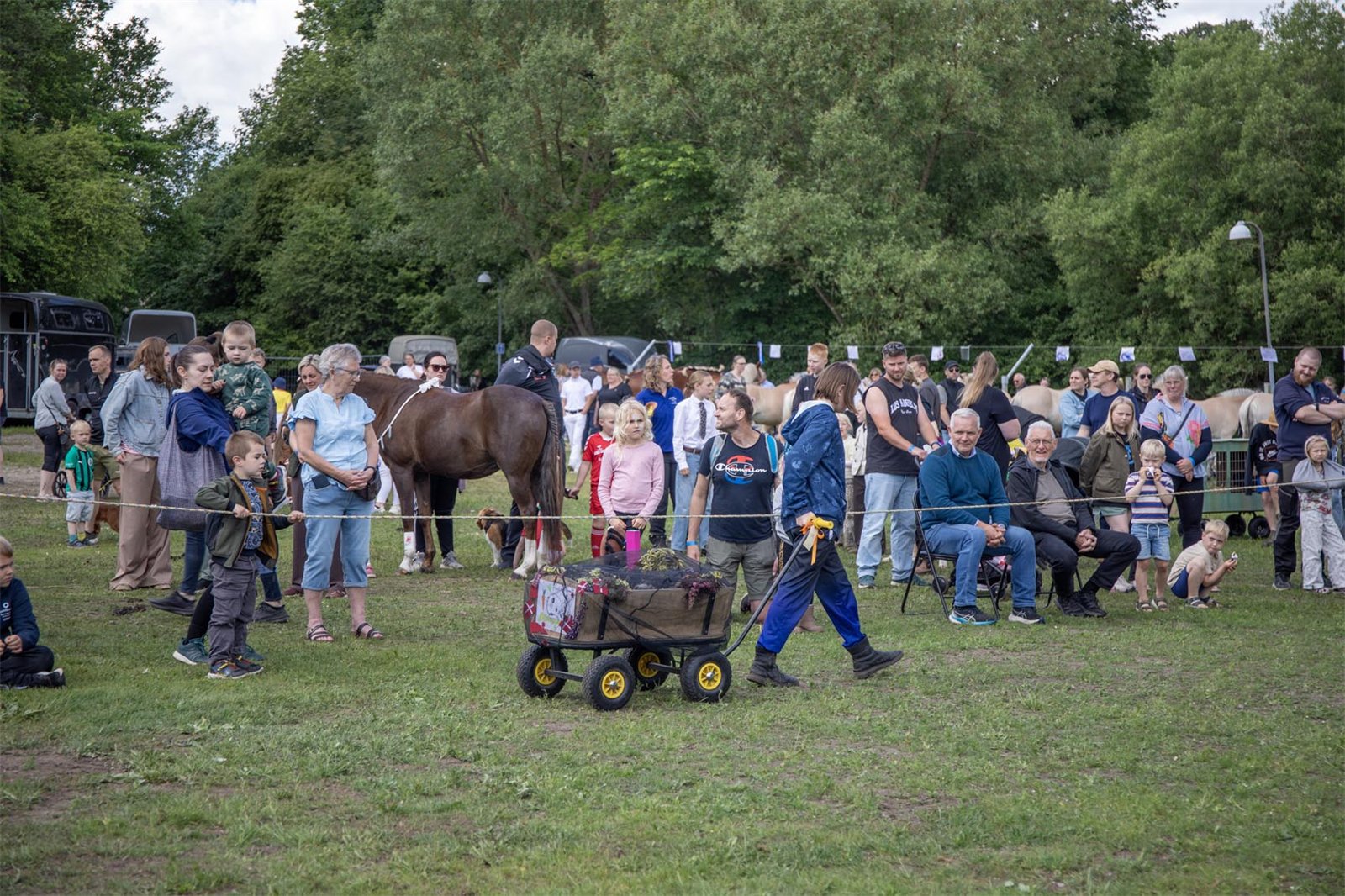 Hobro Dyrskue